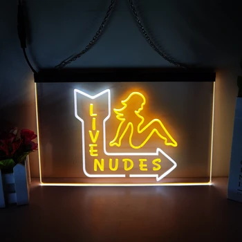 Bayan gece kulübü Bar 2 renkli ekran LED Neon tabelalar ev dekor duvar yatak odası 3D gece lambası
