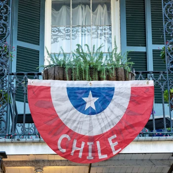 Doğrudan Teslimat %100 Polyester Yarım Daire Fanlar Şili Bayrakları