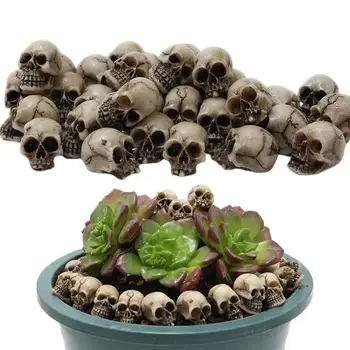 Mini Kafatasları Seti Mini Kafatası Kafaları Bahçe Süslemeleri İskelet Kafatasları 20 Set Sahte İnsan İskeleti Süs Oyuncak Prank Sahne