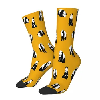 Panda Pozlar Hardal Sarı hayvanlı çoraplar Erkek Erkek Kadın Sonbahar Çorap Polyester