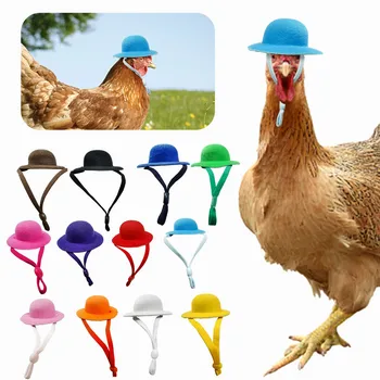 Sevimli Tavuk Kask Komik Baskı Küçük Pet Güneş Yağmur Koruma Kapağı Tavuklar Kuş Ördek Bıldırcın Sert Şapka Pet Başlık Malzemeleri Oyuncak Yeni