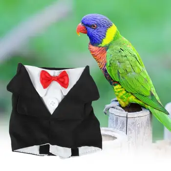 Giyilebilir Kuş Kostüm Ayarlanabilir Kuş Ceket Festivali Parti Tüy Koruyucu Küçük Orta Büyük Papağan Cosplay Kostüm
