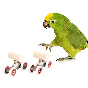 1 Çift Kuş Oyuncaklar Papağan Mini Paten Oyuncak Küçük Orta Kuşlar İstihbarat Eğitim Oyuncaklar Sağlığı Geliştirmek Kuş Malzemeleri