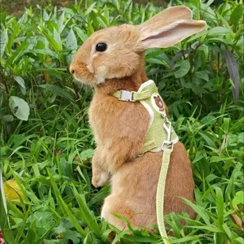 Yeni Sevimli Tavşan Koşum ve Tasma Seti Tavşan Evcil hayvan aksesuarları Yelek Koşum Tavşan Tasmalar Açık Yürüyüş için Evcil Hayvan Malzemeleri