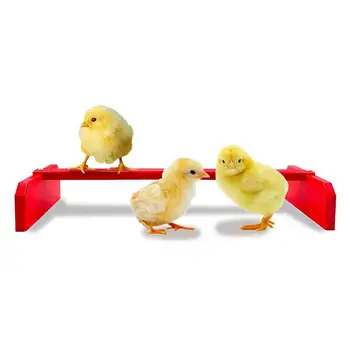 Temizlemesi kolay Kullanışlı Civciv Papağan Oyun Levrek Standı Oyuncak Sağlam Papağan Levrek İstikrarlı Yapı Çiftlik Malzemeleri