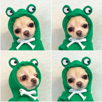 Sevimli Meyve Köpek Giysileri Küçük Köpekler için hoodies Sıcak Polar Pet Giyim Yavru Kedi Kostüm Ceket Fransız Chihuahua Ceket Takım Elbise