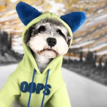 Köpek Giysileri Sonbahar ve Kış Pamuk Küçük Köpek Yaz Teddy Schnauzer Pomeranian VIP Kedi Polar Astarlı Pet Kazak