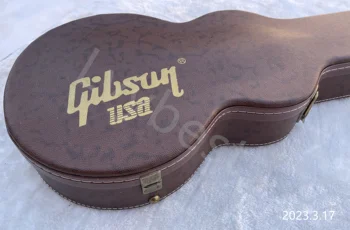 Lvybest Yükseltme Kahverengi 39 İnç Sert Kabuk Elektro Gitar Kılıfı Üstün PU Altın Donanım Gibson Les Paul Gitar