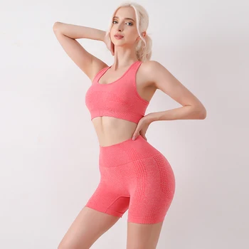 Spor Seti Yoga Seti egzersiz kıyafetleri Kadınlar için Dikişsiz Spor Sutyeni Takım Elbise Yüksek Bel Şort Kadın Eşofman Kadın Spor Giyim