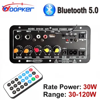 Wooker Bluetooth ses amplifikatörü Kurulu 4 ohm 8-12 inç Hoparlör 12 / 24V 110 / 220V 120W Subwoofer Çift Mikrofon AMP Modülü