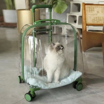 Pet valiz kedi çantası out taşınabilir kedi bavul şeffaf büyük kedi arabası köpek uzay kapsülü